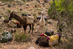 2013_usa_3216.jpg 2013_usa_3216.jpg