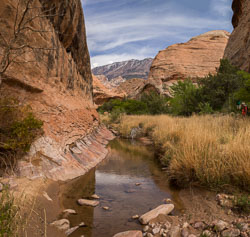 2013_usa_3347-proc.jpg 2013_usa_3347-proc.jpg