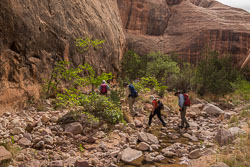 2013_usa_3361.jpg 2013_usa_3361.jpg