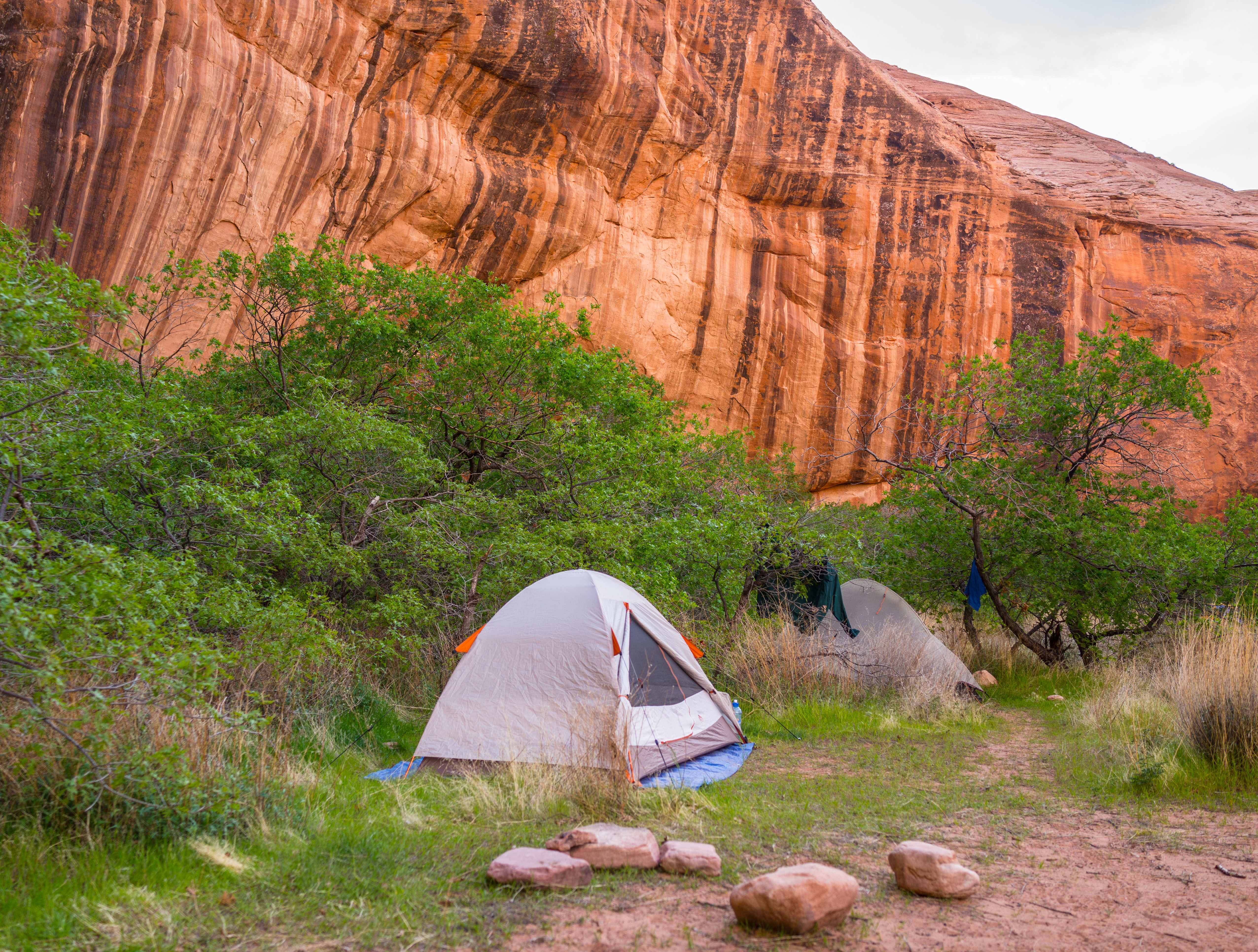 2013_usa_3373.jpg 2013_usa_3373.jpg