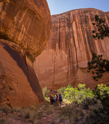 2013_usa_3442-proc.jpg 2013_usa_3442-proc.jpg