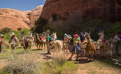 2013_usa_3484.jpg 2013_usa_3484.jpg