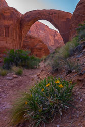 2013_usa_3553.jpg 2013_usa_3553.jpg