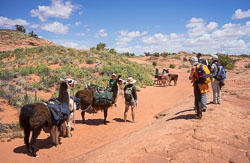 2016_usa_3296.jpg 2016_usa_3296.jpg