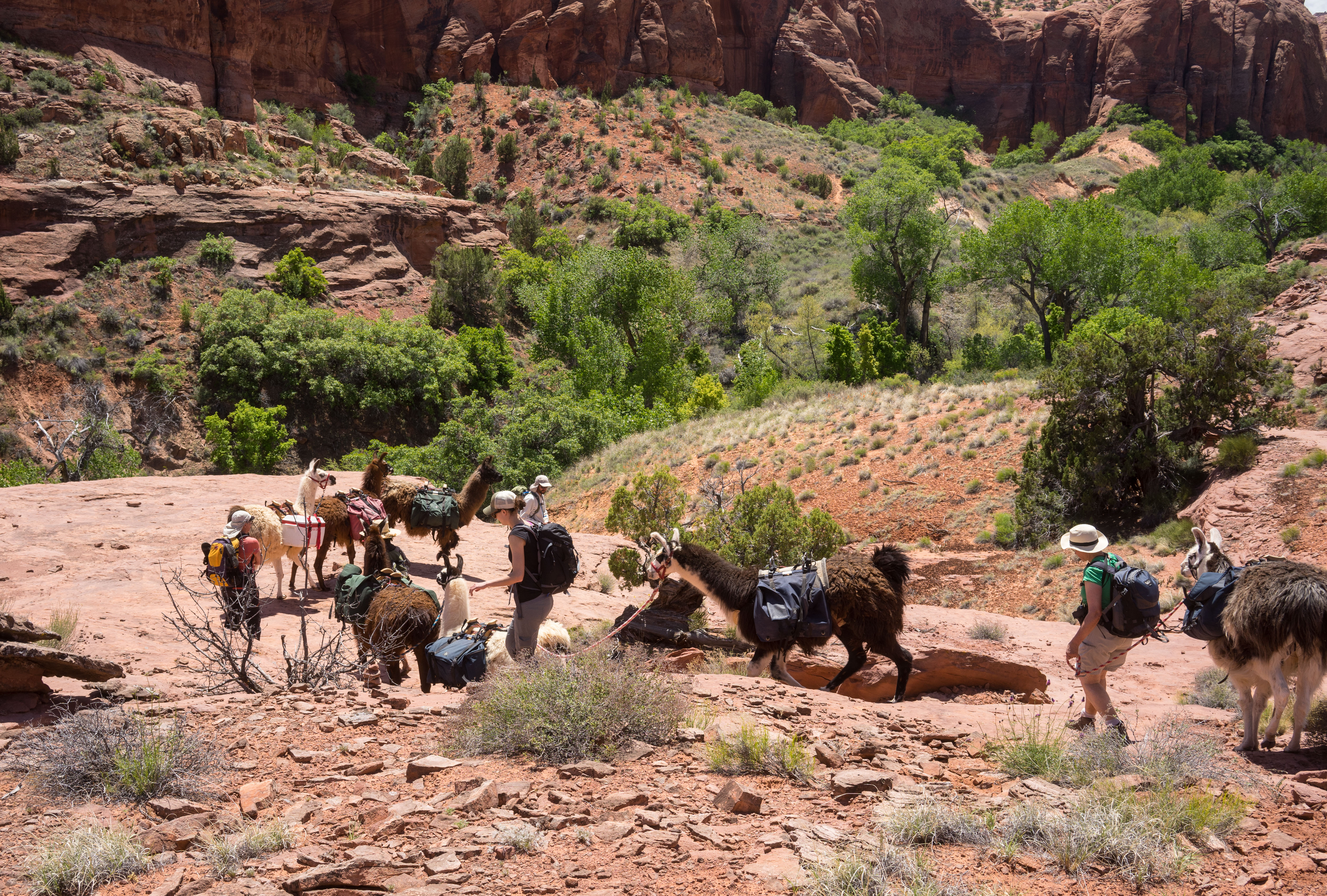 2016_usa_3305.jpg 2016_usa_3305.jpg