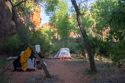 2016_usa_3327.jpg 2016_usa_3327.jpg