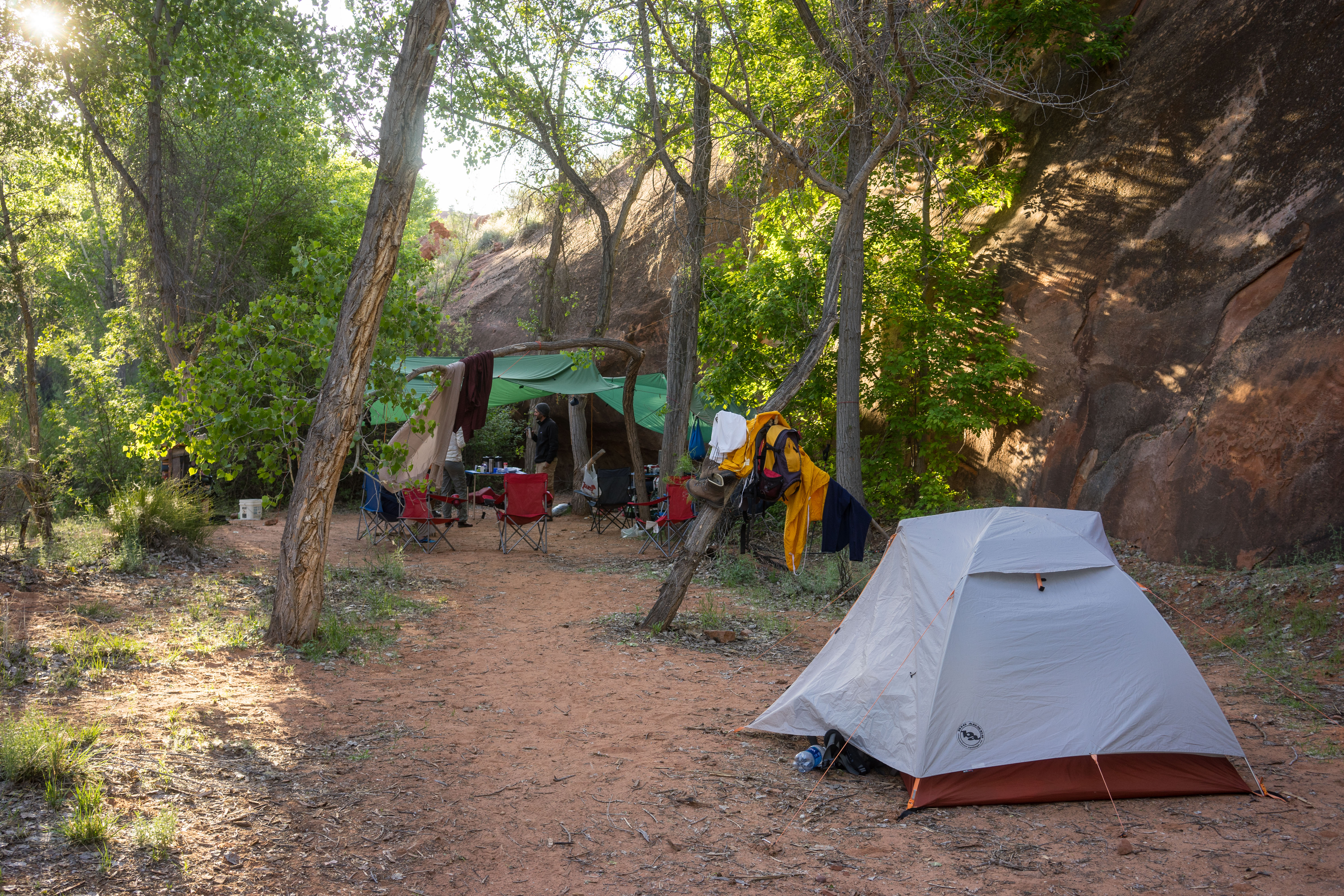 2016_usa_3336.jpg 2016_usa_3336.jpg