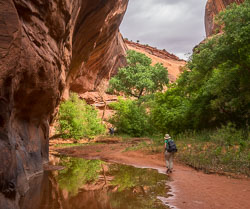 2016_usa_3405.jpg 2016_usa_3405.jpg