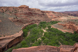 2016_usa_3492.jpg 2016_usa_3492.jpg