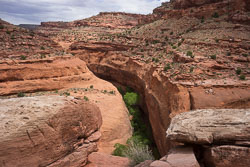 2016_usa_3495.jpg 2016_usa_3495.jpg