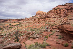 2016_usa_3498.jpg 2016_usa_3498.jpg