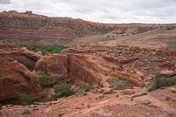 2016_usa_3507.jpg 2016_usa_3507.jpg