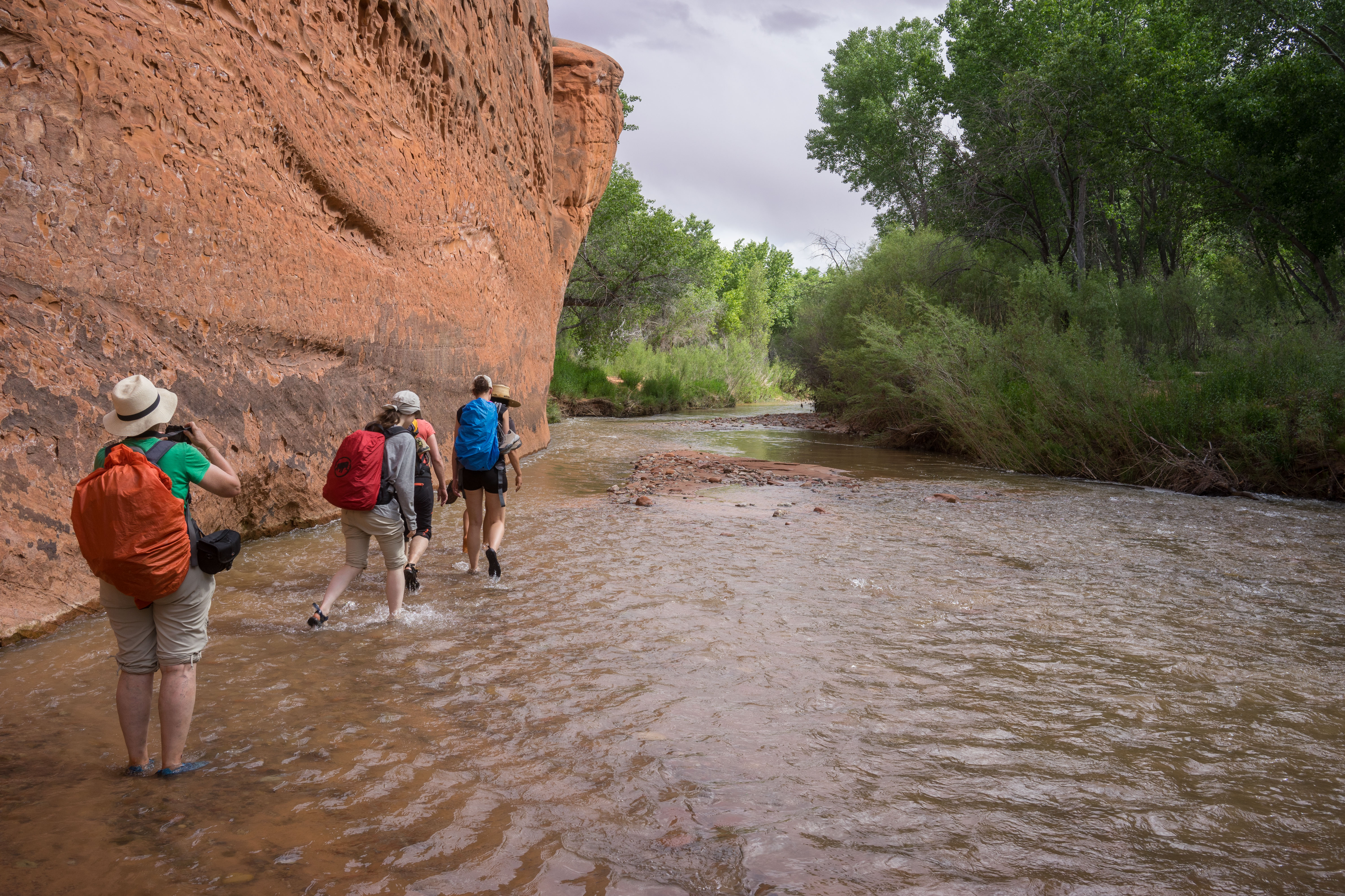 2016_usa_3547.jpg 2016_usa_3547.jpg