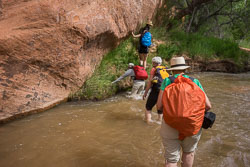 2016_usa_3548.jpg 2016_usa_3548.jpg