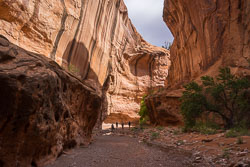 2016_usa_3643.jpg 2016_usa_3643.jpg