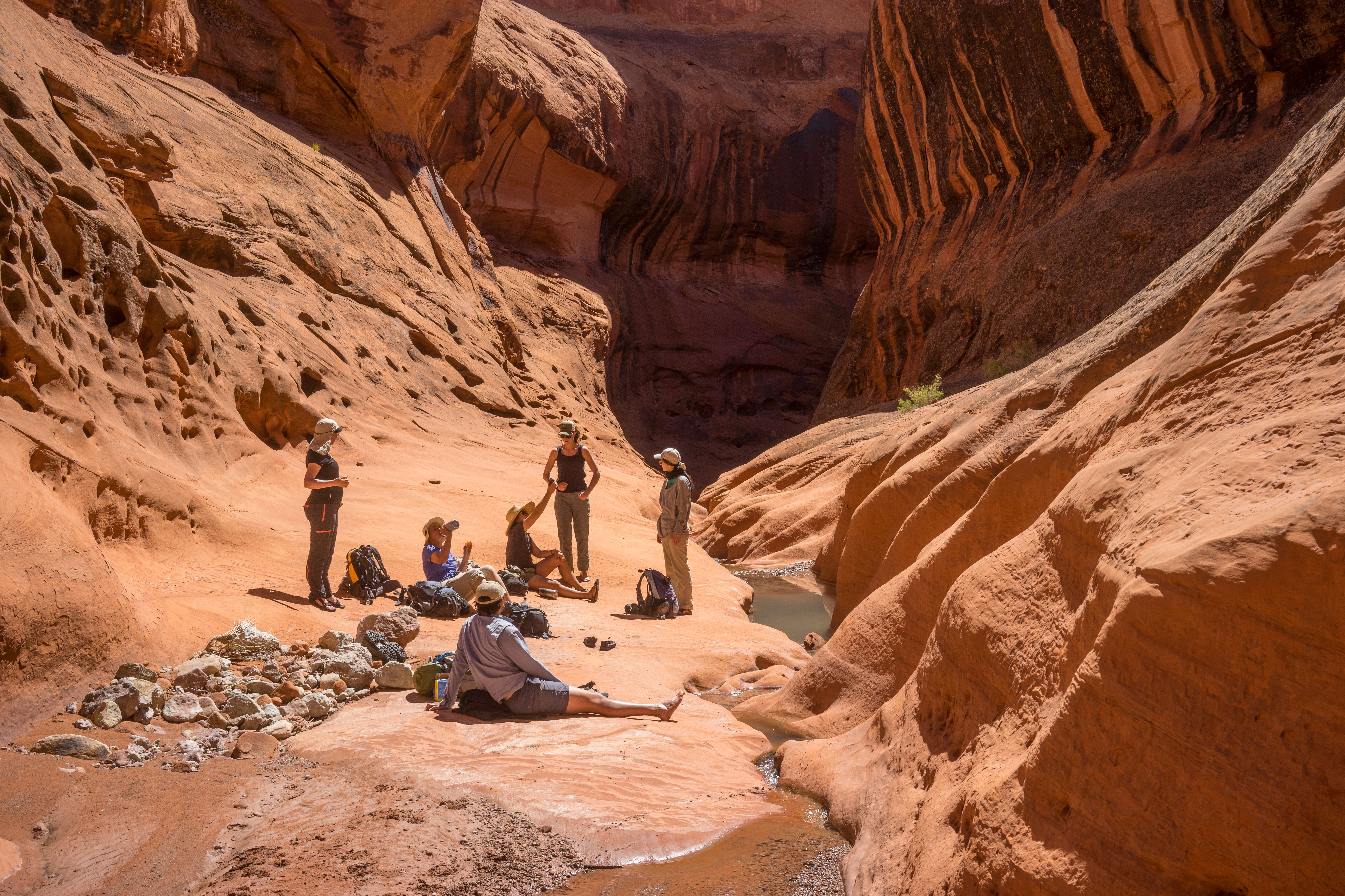 2016_usa_3668.jpg 2016_usa_3668.jpg