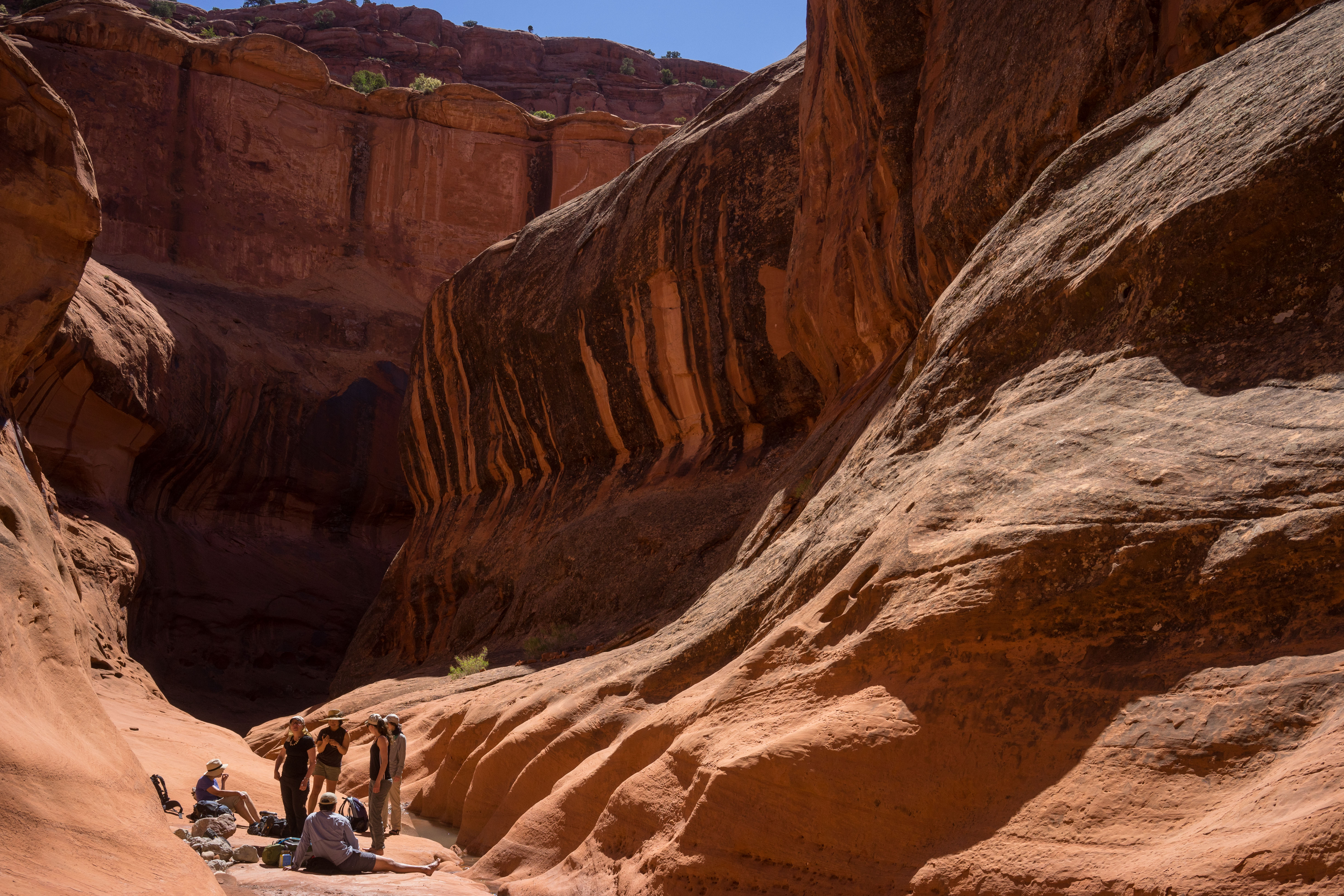 2016_usa_3670.jpg 2016_usa_3670.jpg