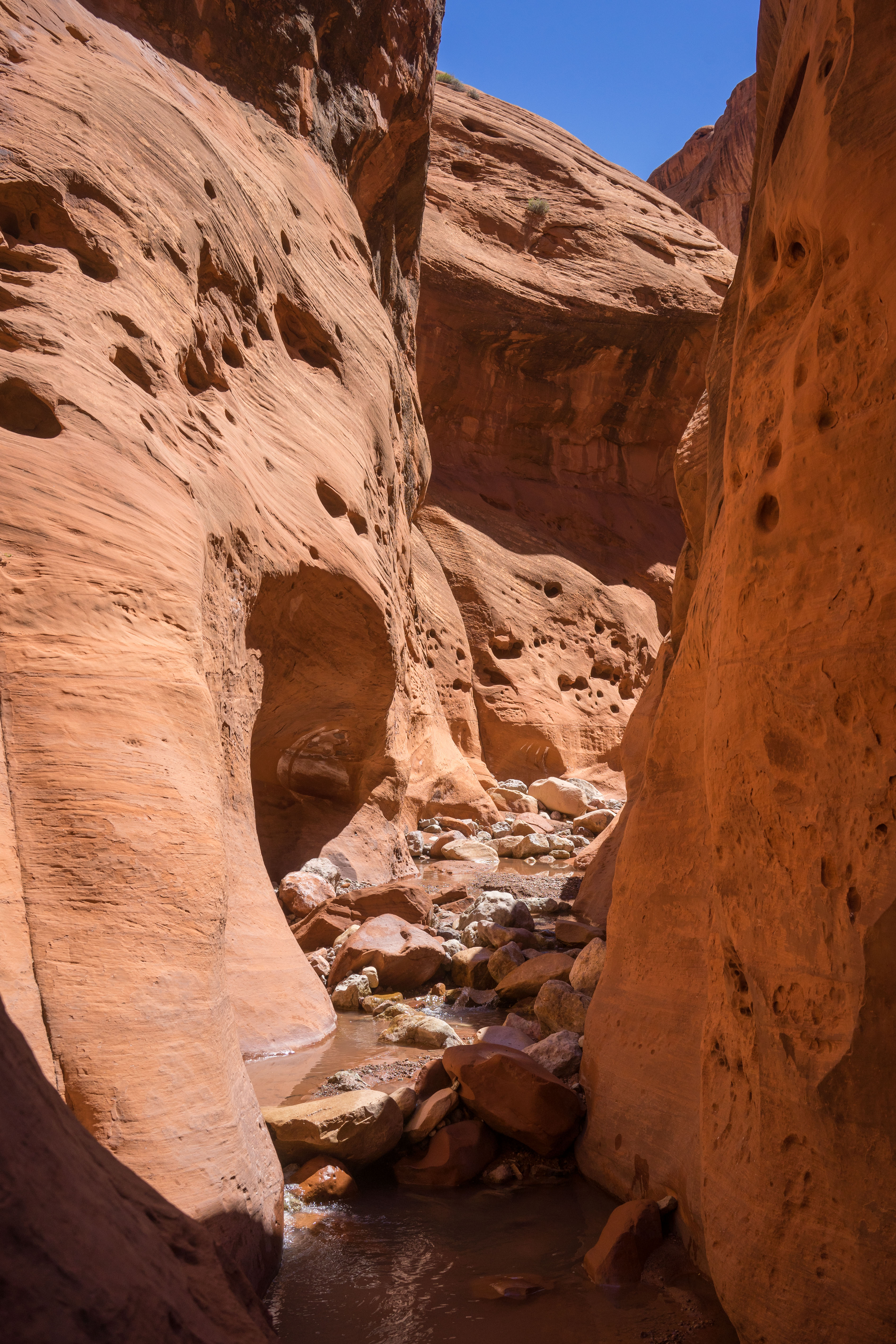 2016_usa_3680.jpg 2016_usa_3680.jpg