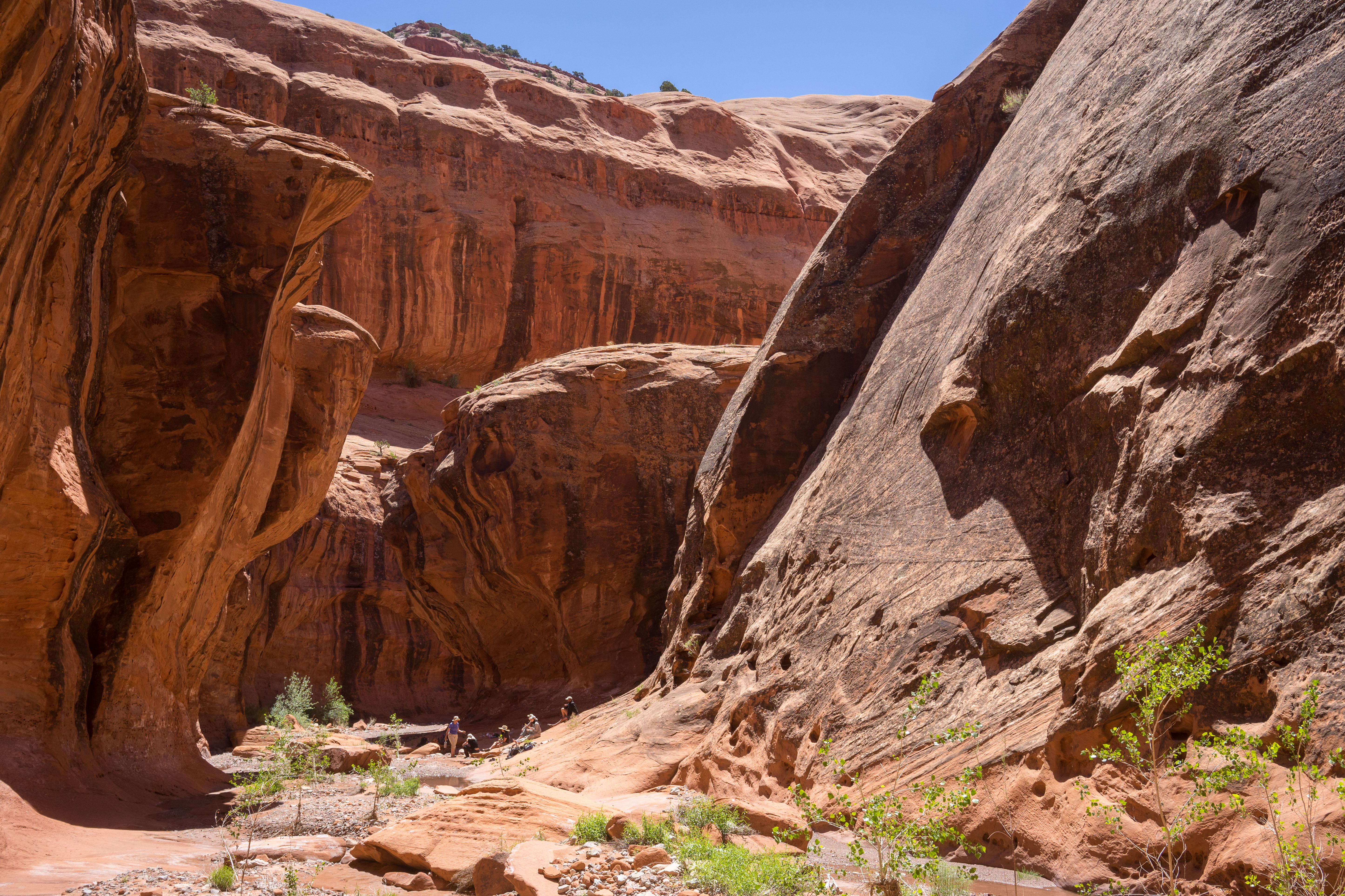 2016_usa_3699.jpg 2016_usa_3699.jpg