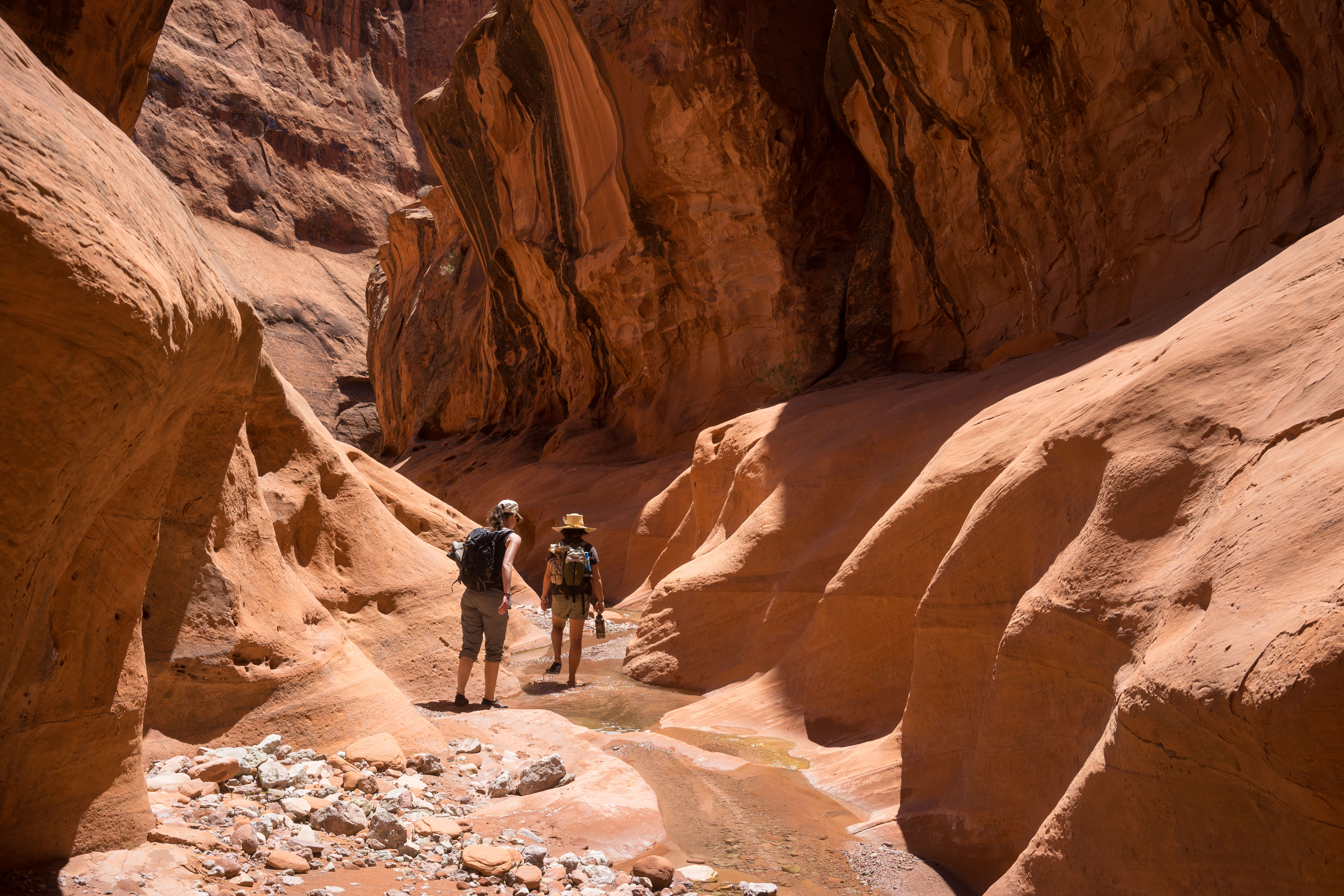 2016_usa_3740.jpg 2016_usa_3740.jpg