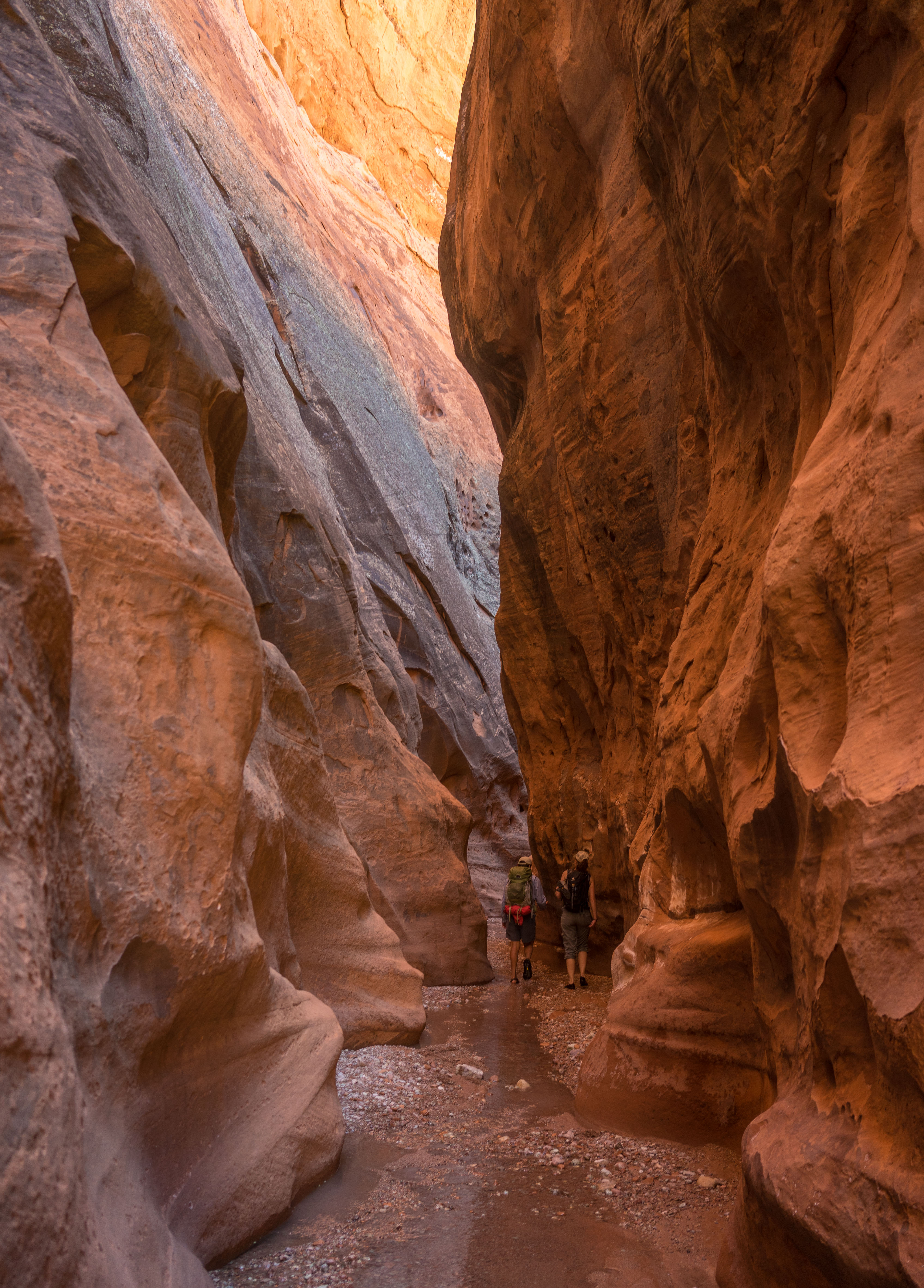 2016_usa_3743.jpg 2016_usa_3743.jpg