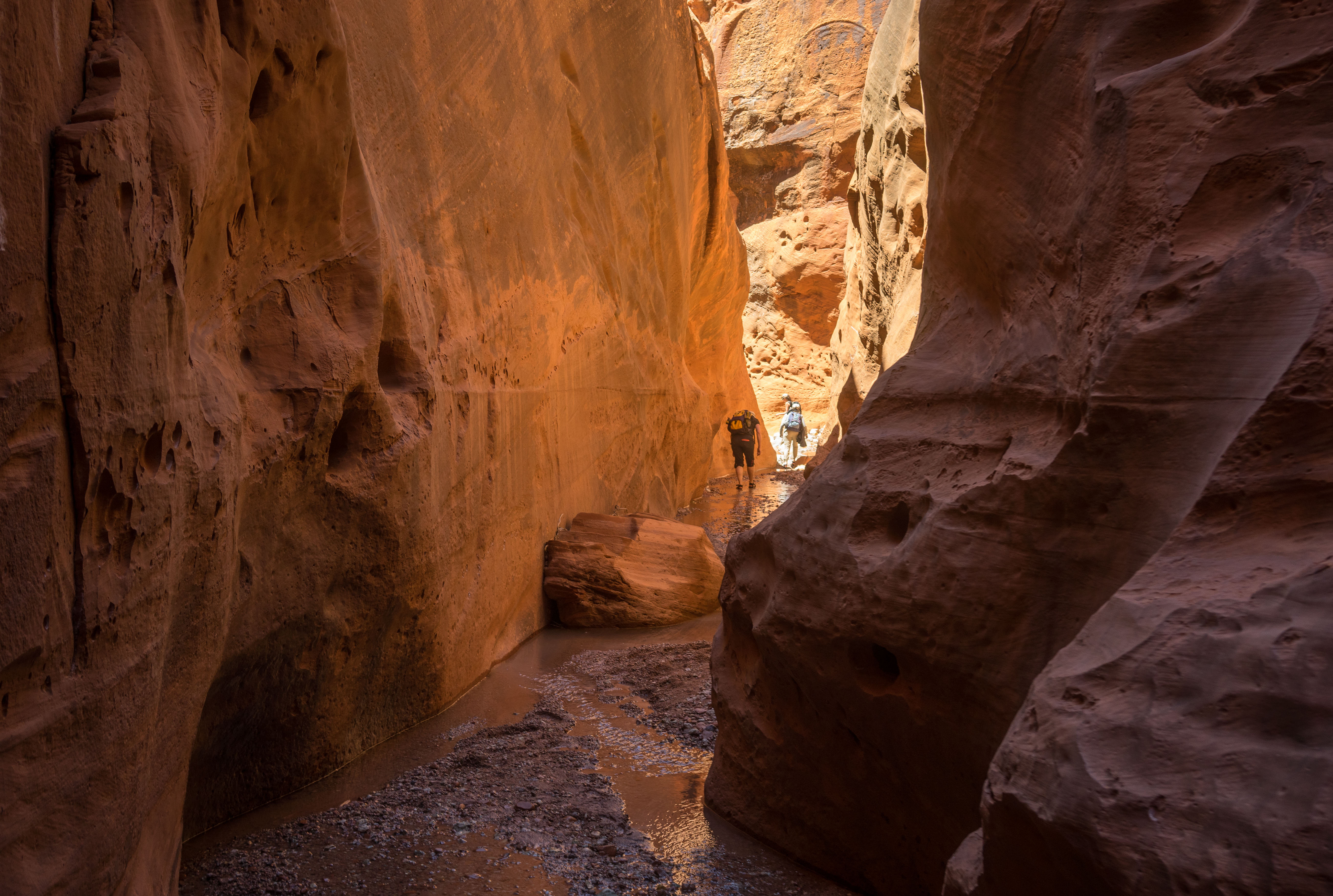 2016_usa_3745.jpg 2016_usa_3745.jpg