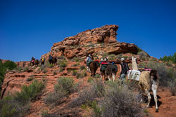 2016_usa_3877.jpg 2016_usa_3877.jpg