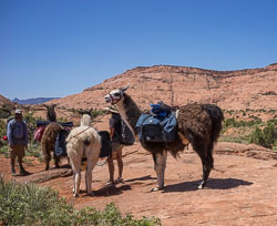 2016_usa_3886.jpg 2016_usa_3886.jpg