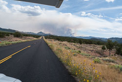 2009_usa_0703.jpg 2009_usa_0703.jpg