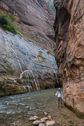 2009_usa_0795.jpg 2009_usa_0795.jpg