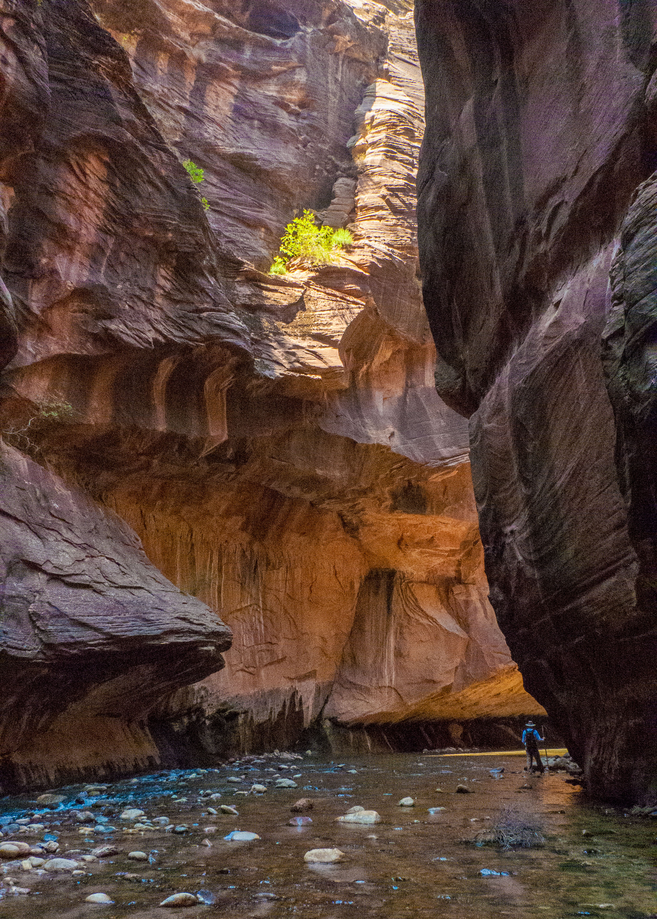 2009_usa_0864.jpg 2009_usa_0864.jpg