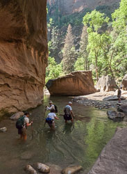 2009_usa_0895.jpg 2009_usa_0895.jpg