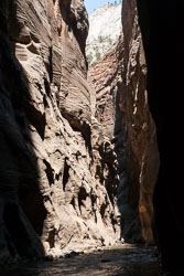 2009_usa_0913.jpg 2009_usa_0913.jpg