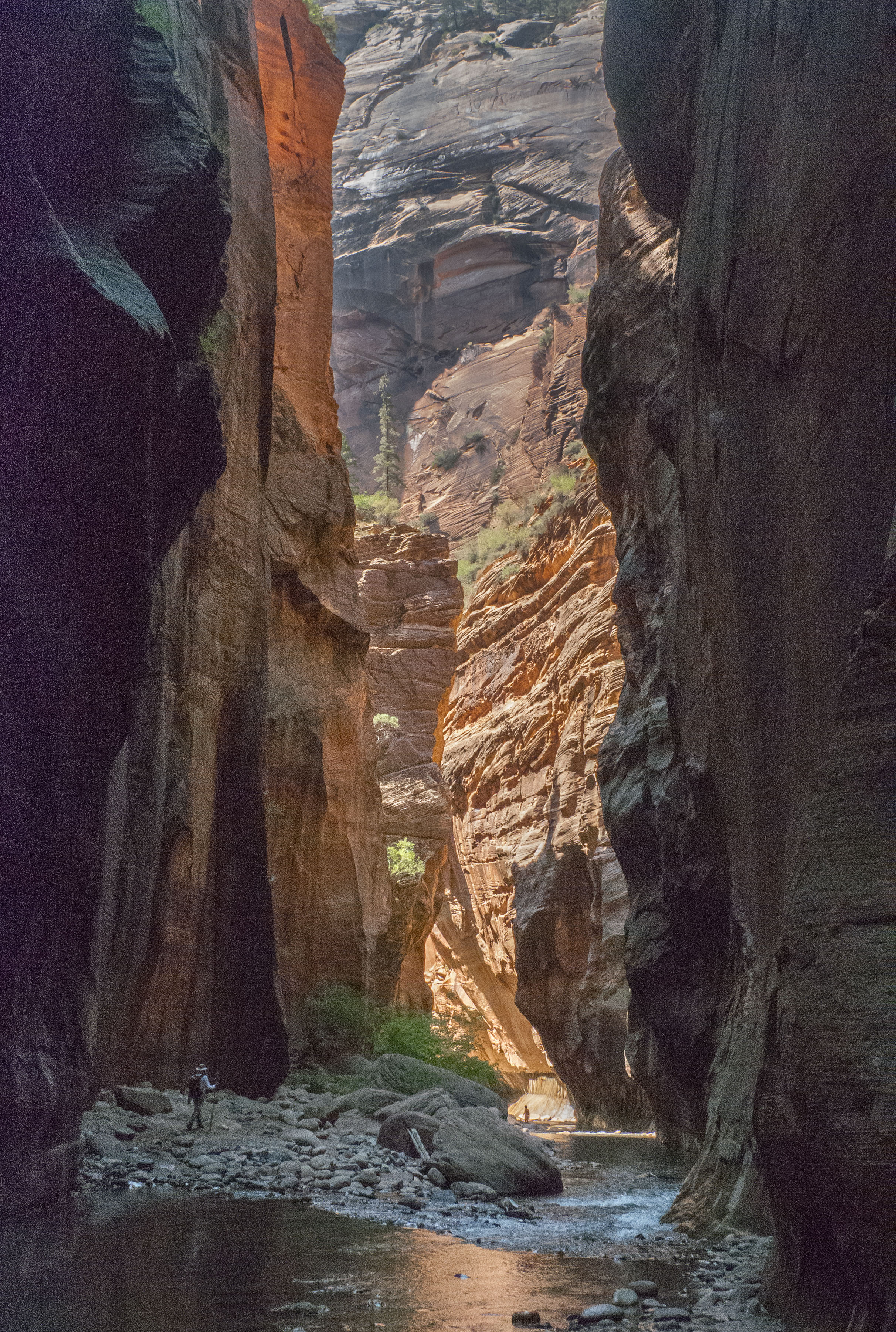 2009_usa_0927.jpg 2009_usa_0927.jpg