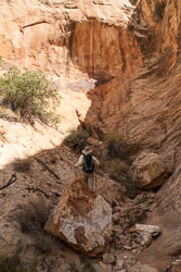 2009_usa_1319.jpg 2009_usa_1319.jpg