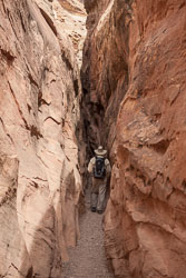 2009_usa_1626.jpg 2009_usa_1626.jpg