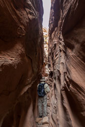 2009_usa_1628.jpg 2009_usa_1628.jpg