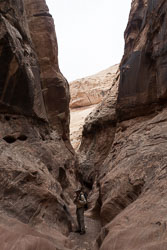 2009_usa_1652.jpg 2009_usa_1652.jpg