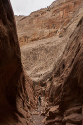 2009_usa_1669.jpg 2009_usa_1669.jpg