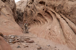 2009_usa_1692.jpg 2009_usa_1692.jpg