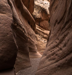 2009_usa_1726.jpg 2009_usa_1726.jpg