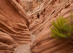 2009_usa_1730.jpg 2009_usa_1730.jpg