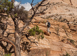 2009_usa_1841.jpg 2009_usa_1841.jpg