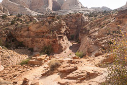 2009_usa_1846.jpg 2009_usa_1846.jpg