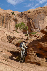 2009_usa_2087.jpg 2009_usa_2087.jpg