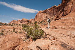 2009_usa_2096.jpg 2009_usa_2096.jpg