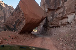 2009_usa_2195.jpg 2009_usa_2195.jpg