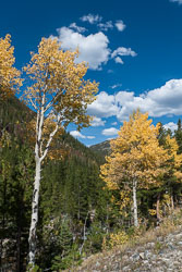 2009_usa_3348.jpg 2009_usa_3348.jpg