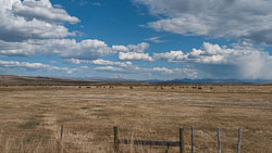 2009_usa_3375.jpg 2009_usa_3375.jpg