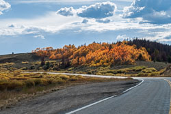 2009_usa_3379.jpg 2009_usa_3379.jpg